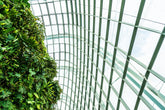 Sustainable Glass: Innovations, Challenges, and its Role in a Greener Future
